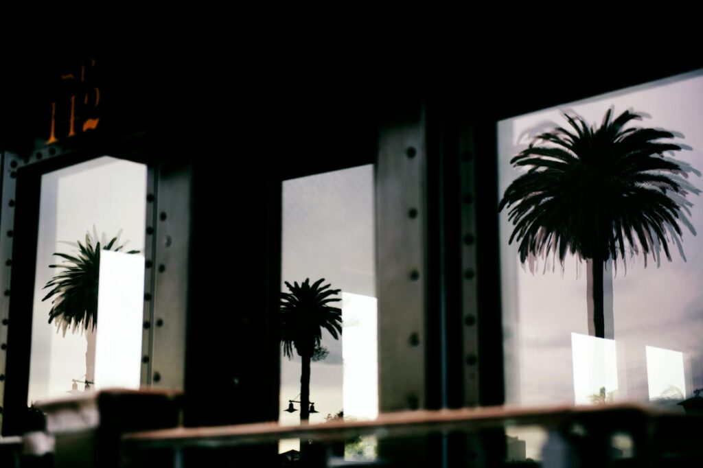 imagine_942301