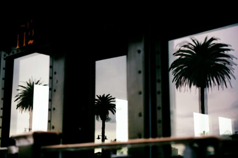 imagine_942301